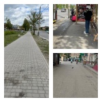 Проводятся осмотры (обследования)