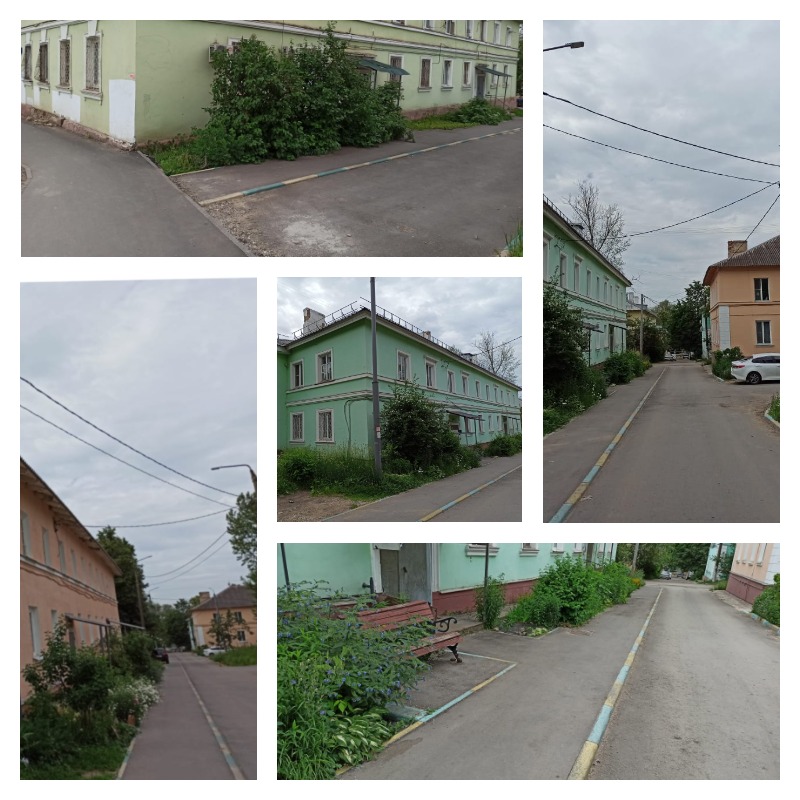 collage (7).jpg